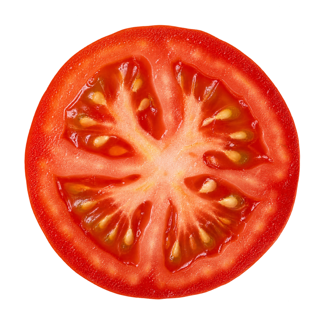 ingredient-tomato — ilustračná vizualizácia